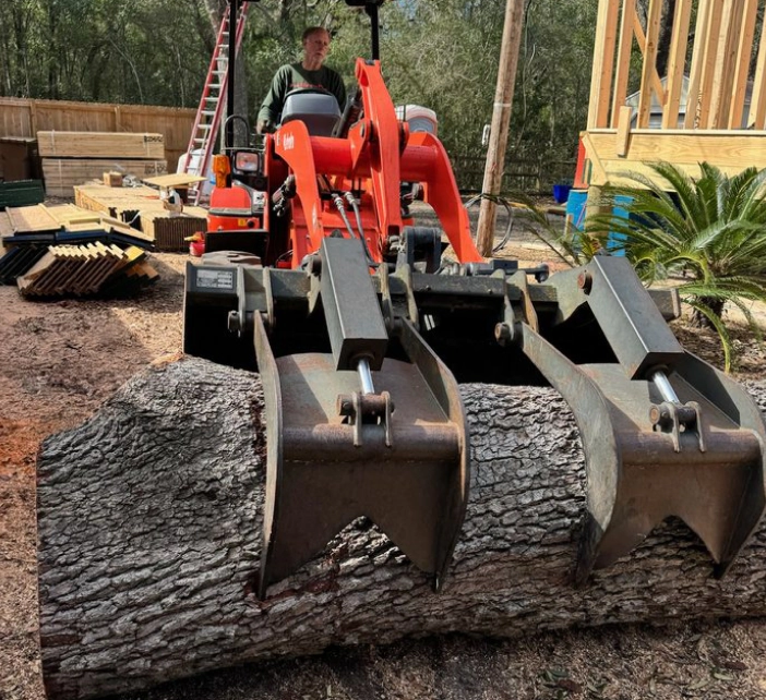 tree-trunk-removal