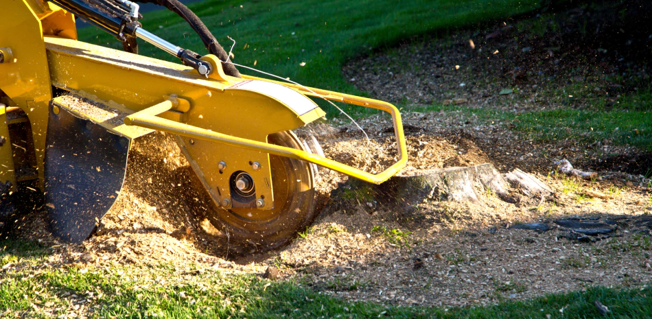 Stump-services