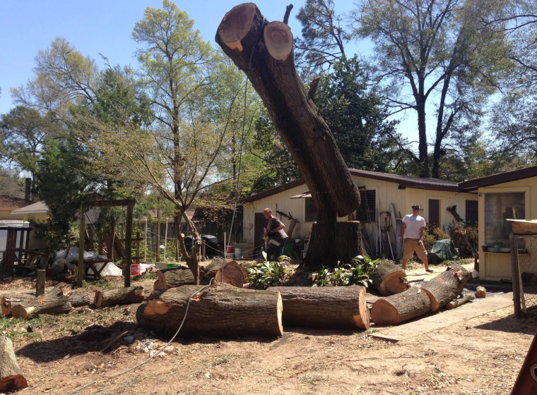 tree-removal-services-navarre